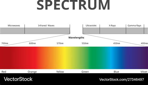 Visible Spectrum Color Electromagnetic Spectrum Vector Image