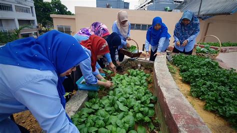 Join facebook to connect with sawi jepun and others you may know. "Sawi Jepun Kami" - YouTube