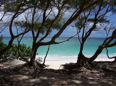 5 Barbados Beaches That Will Make You Wish You Were There Right Now