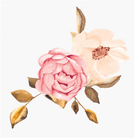 2 A Copy Rose Gold Flowers Clipart Hd Png Download Transparent Png
