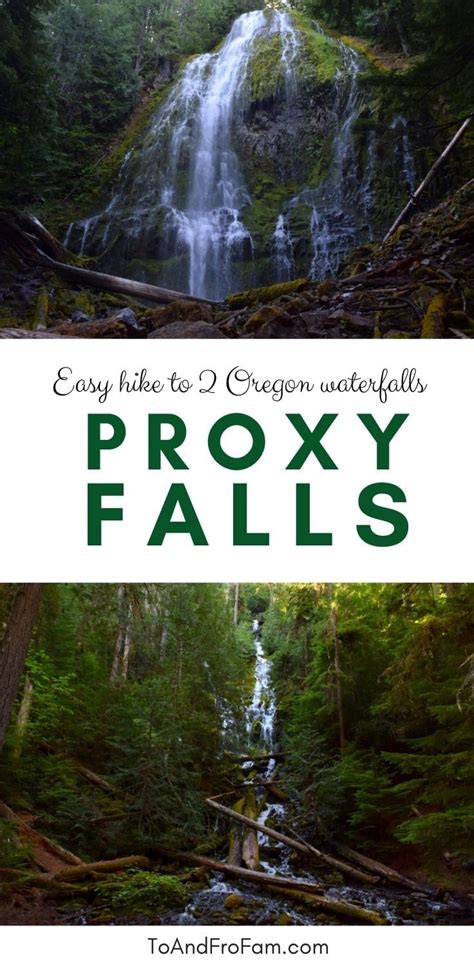 Picture Perfect Proxy Falls Oregon Trail Details For An Easy