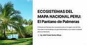 Ecosistemas DEL MAPA Nacional PERU El Pantano de Palmeras - ECOSISTEMAS ...