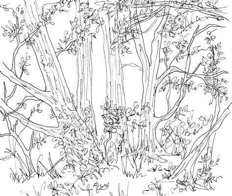 The Best Free Forest Drawing Images Download From 2031 Free Drawings