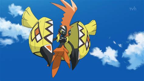 Tapu Koko Anime Pokémon Wiki Fandom Powered By Wikia