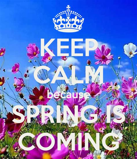 Keep Calm Because Spring Is Coming Poster Nika Keep