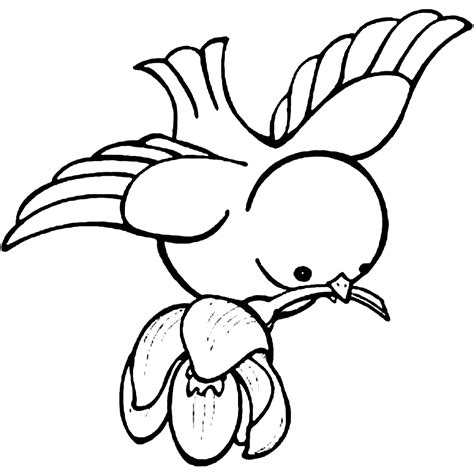 Bird Flying Coloring Page Home Design Ideas