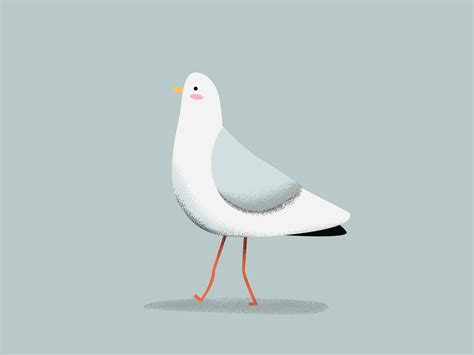 Seagull By Erika Henell On Dribbble