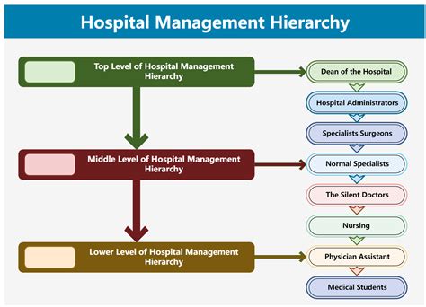 Farmec Piramid Rechin Hospital Organizational Chart Sunt Depresivi Stoc Intrare