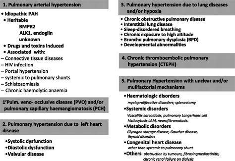 Updated Classification And Management Of Pulmonary Hypertension Heart