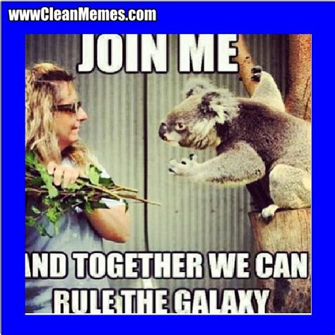 Cat memes funny and cute kitten memes. #CleanMemes #CleanFunnyImages www.CleanMemes.com | Clean ...