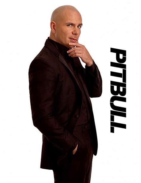 Pitbull The Singer Pitbull Rapper Miami Ice Pitbull Photos Dj The