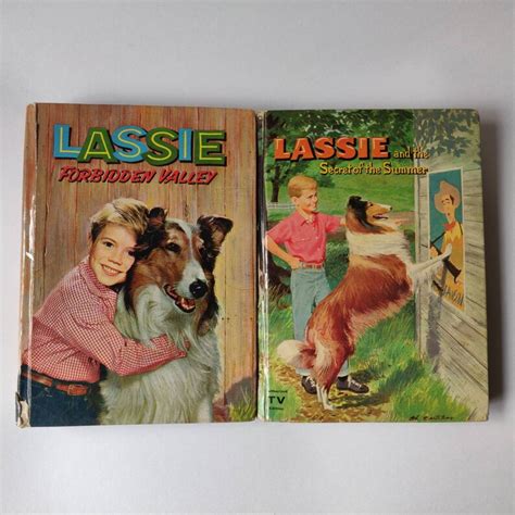 Vintage Lassie Books Hardcover Book Vintage Books Vintage Etsy