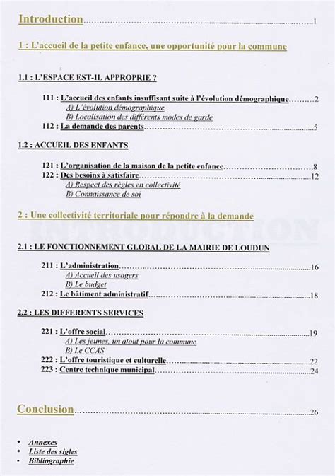 Exemple De Rapport De Stage Terminal Bac Pro Sapat Financial Report