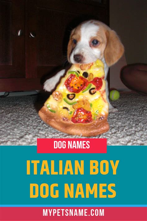 Italy has a long, rich history of. Italian Boy Dog Names | Boy dog names, Dog names, Italian dogs