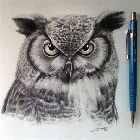 Owl Drawing By Lethalchris On Deviantart