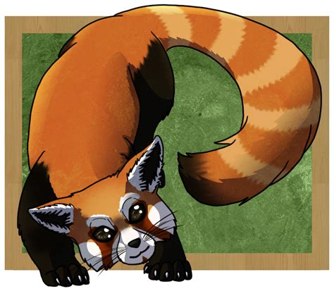 Red Panda By Lucie P On Deviantart