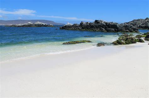 Bahia Inglesa One Of The Best Beaches In Chile Jonistravelling