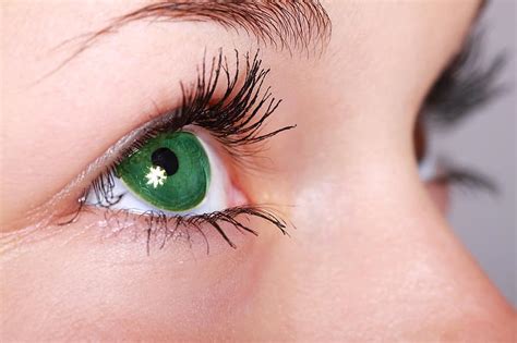 Ojos Ojo Verde Bonitos Ojos Mujer Dia De La Mujer Ojos Verdes