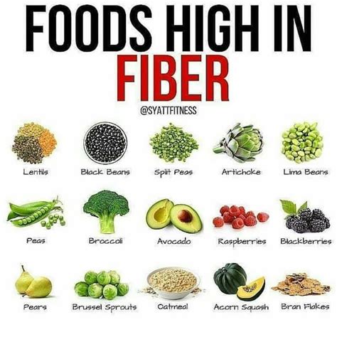I've made a point to add fiber to every snack and meal. @veganclassroom on Instagram: "Foods high in fiber ☝🌱🌱🌱 Vegan teach 🎓 ~ #VeganNews # ...