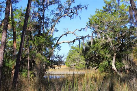 Skidaway Island State Park Camping The Dyrt