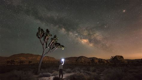 Celebrate Dark Skies At These 18 National Parks · National Parks