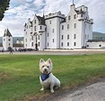 VisitScotland on Instagram: “@blair_castle_atholl_estates is the ...