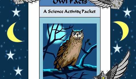 owl facts for kindergarten
