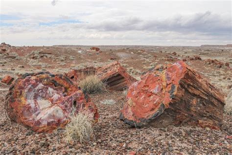 Things To Do In Petrified Forest National Park Travel Experience Live