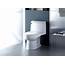 Eco Friendly  Dual Flush Toilets Available At Polaris