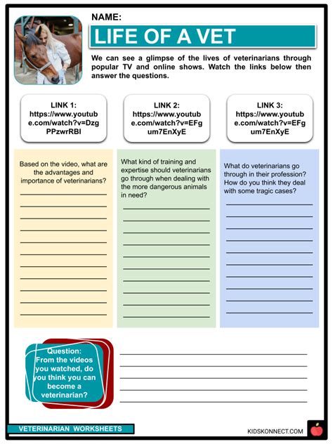 Veterinarian Facts Worksheets History Types And Roles For Kids