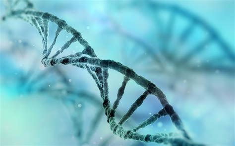 Israel S Nrgene Identifies Mutation That Causes Colon Cancer The