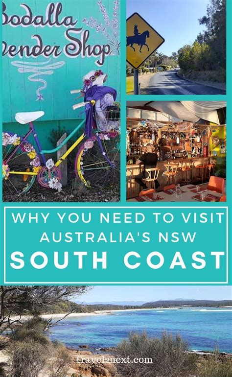 Reasons To Visit The Nsw South Coast This Summer A Prime Reason For