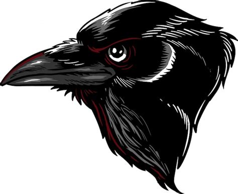 Premium Vector Raven