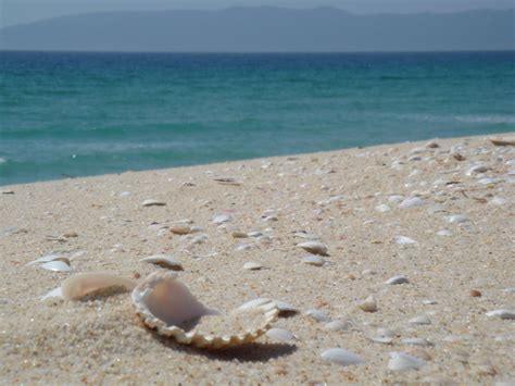 Eine portugal pauschalreise können sie prima mit einem strandaufenthalt verbinden, oder sie entscheiden sich nur für das baden im atlantik. Make nice walking tours on the white sands of Tróia ...