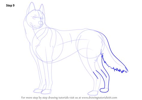Hand drawn dog icon wagging its tail wish of a happy new year. Learn How to Draw a Husky (Dogs) Step by Step : Drawing ...