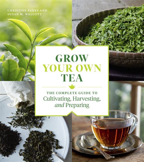 Grow Your Own Tea Workman Publishing