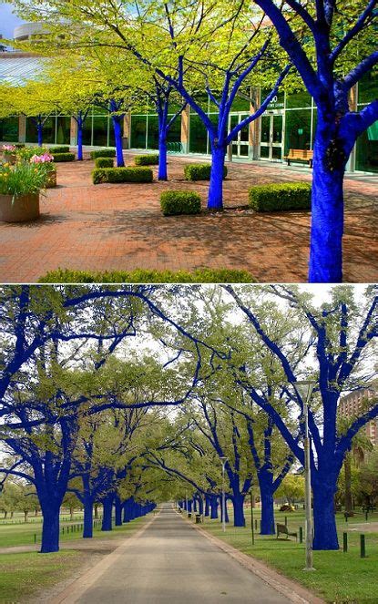 Blue Trees With Images Outdoor Gardens Blue Tree Tree Art