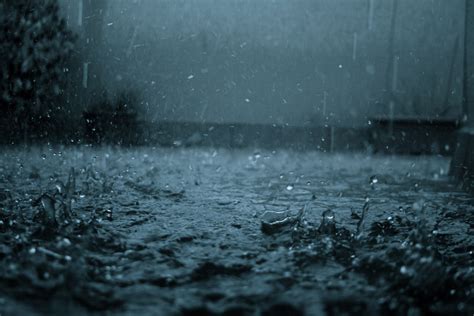 Understanding The Latter Rain Future News Canada