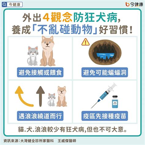 被動物咬傷、抓傷怎麼辦？醫教緊急處理，狂犬病致死率高別大意！ 今健康