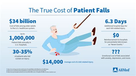 The True Cost Of Patient Falls In Your Facility Alimed