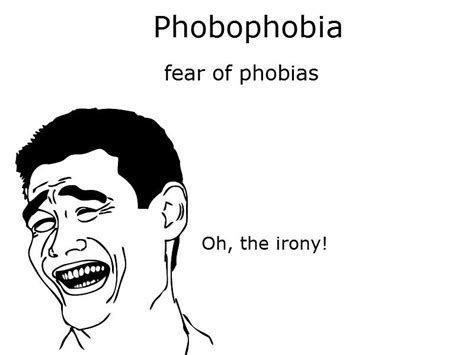 Phobophobiafear Of Phobiasoh The Irony Funny Pictures Funny Pictures And Best Jokes Comics