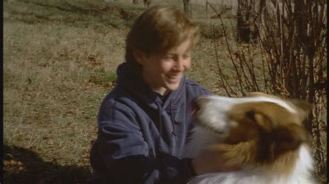 Lassie 1994 90s Films Image 23523216 Fanpop