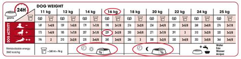 Royal Canin Maxi Puppy Food Feeding Chart Puppy And Pets