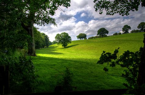 Free Images Landscape Tree Nature Forest Grass