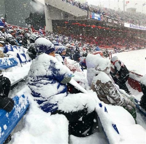 Bills Fans Dont Let A Little Snow Stop Them From Enjoying The Game