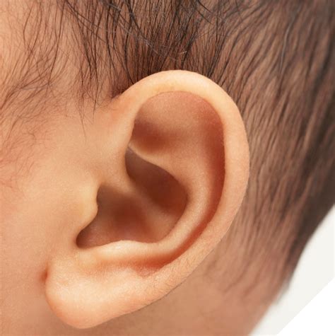 What Are Ear Tubes Photonicare