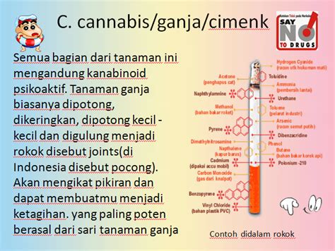 Materi Tentang Narkoba Dalam Bentuk Power Point Ahmad Marogi