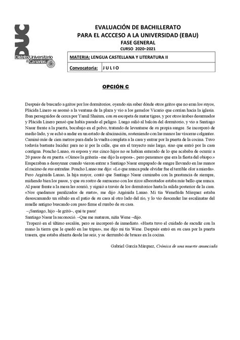 Examen Comentario Literario Ebau 2021 Ejercicios De Lengua Y