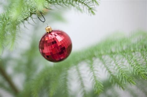 Photo Of Single Red Christmas Bauble Hanging On A Tree Free Christmas