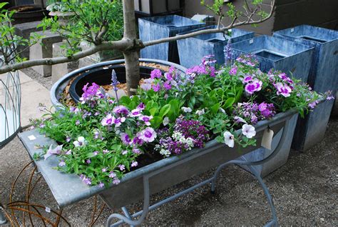 The Best Galvanized Containers For Gardening References Atelieartemae